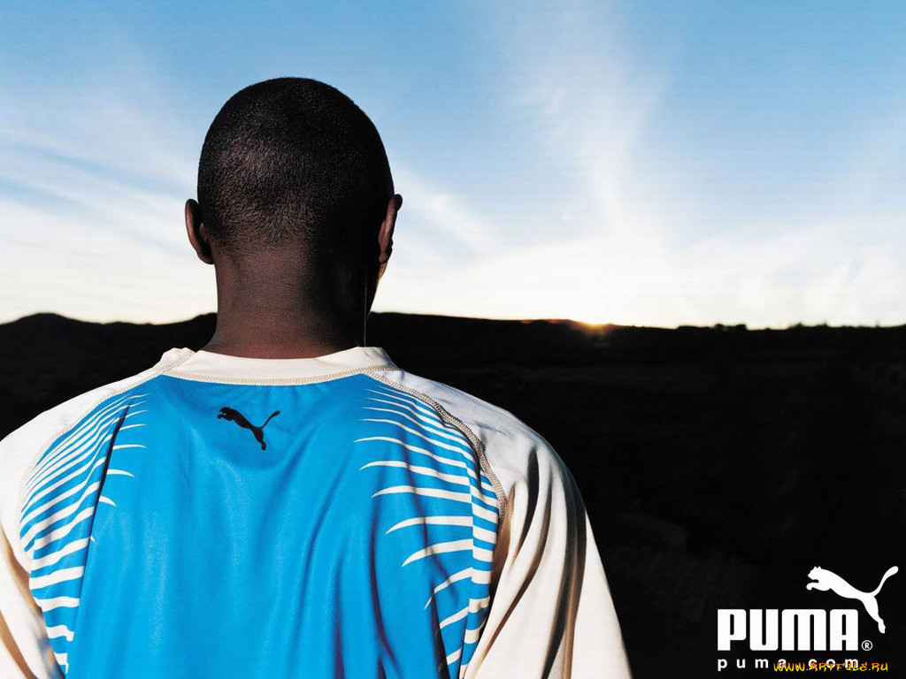 , puma
